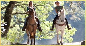 Alcohol & drug rehab treatment center’s recreational activities