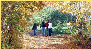 Drug & alcohol rehabilitation center