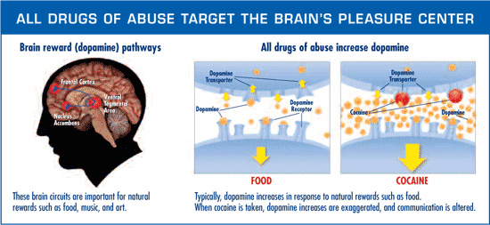 How Drug Addiction & Abuse Effects the Brain