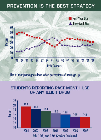 Drug Addiction Prevention is the Best Strategy.