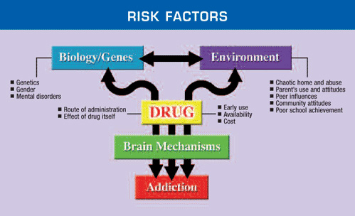 The risk factors for drug addiction.